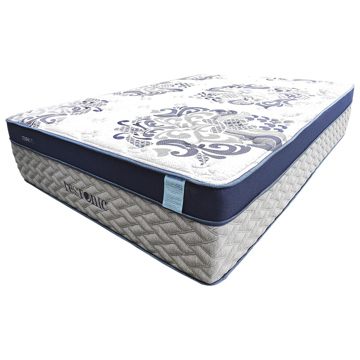 Imagen de Colchon Regiomontana Plus Individual