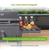 Imagen de Asador De Carbon Tipo Baul con Elevador de Parrilla ACB03