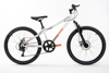 Imagen de Bicicleta Mercurio 301141 MTB SEVEN 24" Blanca 7V